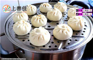 包子培训