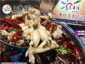 美蛙鱼头培训