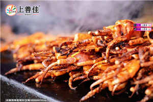 铁板鱿鱼培训